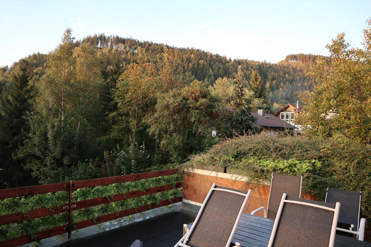 Birkenstuebchen Apartment Lautenthal Exterior photo